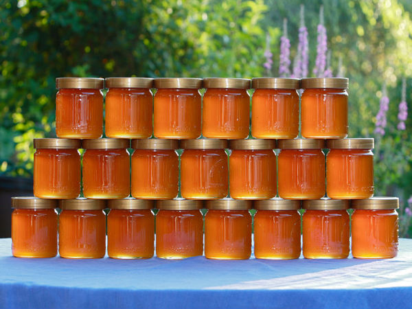 குடல் புண்கள்