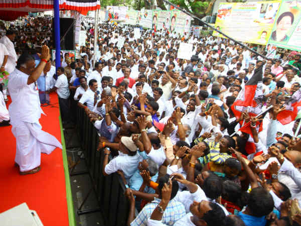 ஓபிஎஸ் நற்பணி மன்றம்