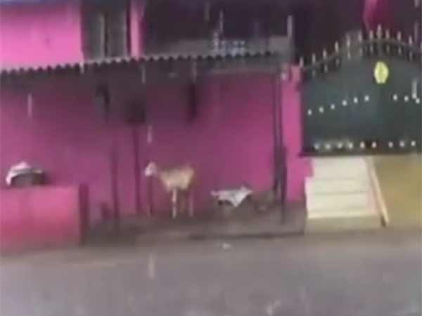 மின்னல் இடி மின்னல் இடி