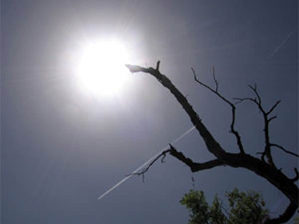 பொய்த்துப்போன பருவமழைகள்