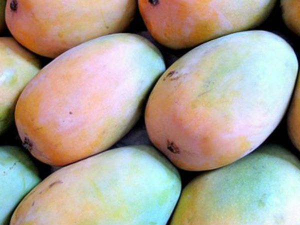 சரி! இந்த மாம்பழத்தை யார் அதிகம் விரும்பி சாப்பிடுவார்கள்?