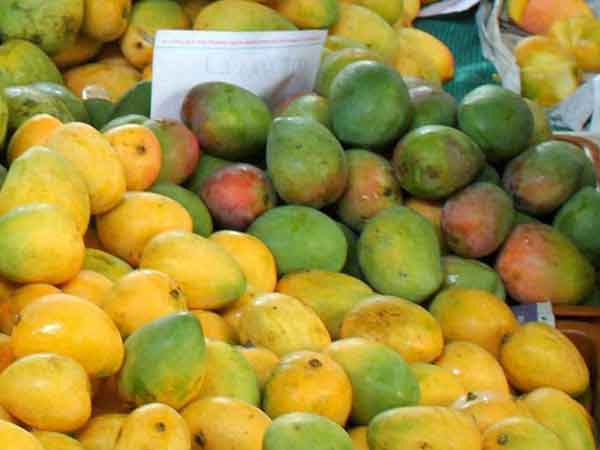 ஆயுர்வேத மருத்துவம்