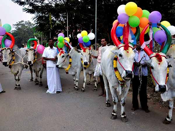 உறவுகள் ஒன்று கூடும் 