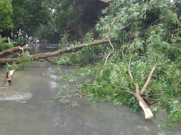 ஜூன் இறுதியில் தீவிரமடையும் ஜூன் இறுதியில் தீவிரமடையும்