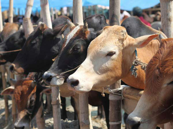 தமிழக அரசு 