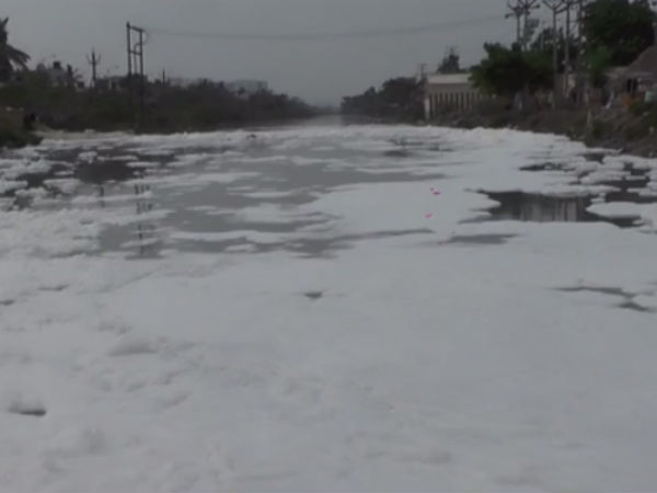 In Chennai Neelangarai, polluted water coming with foam and it causing skin diseases In Chennai Neelangarai, polluted water coming with foam and it causing skin diseases