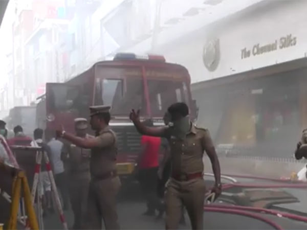 113 சி பிரிவு