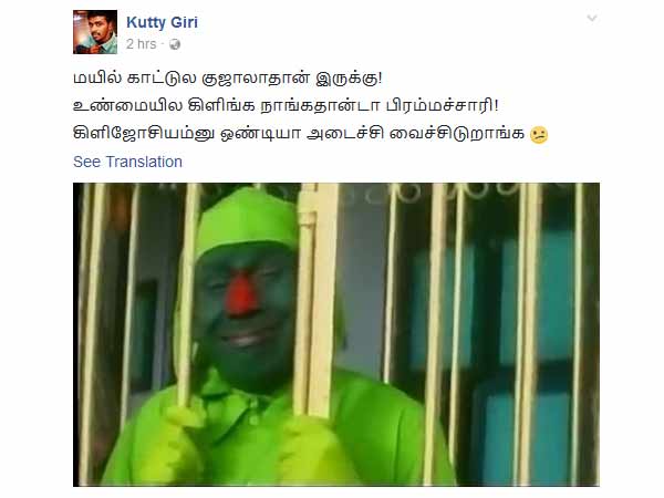 கிளிகளின் புலம்பல்