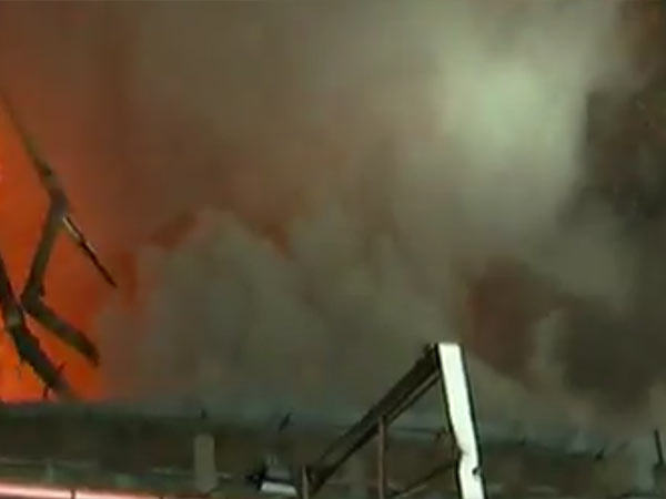 நடவடிக்கை