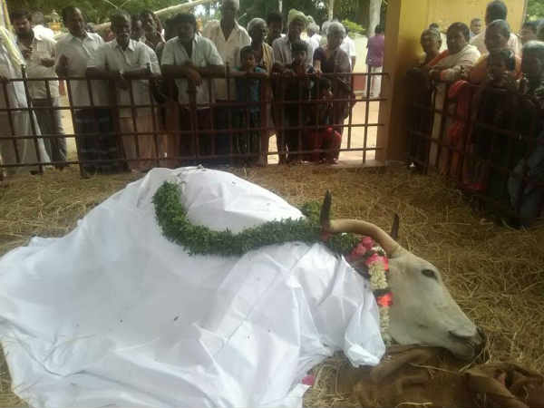 இறுதி சடங்குகள் 