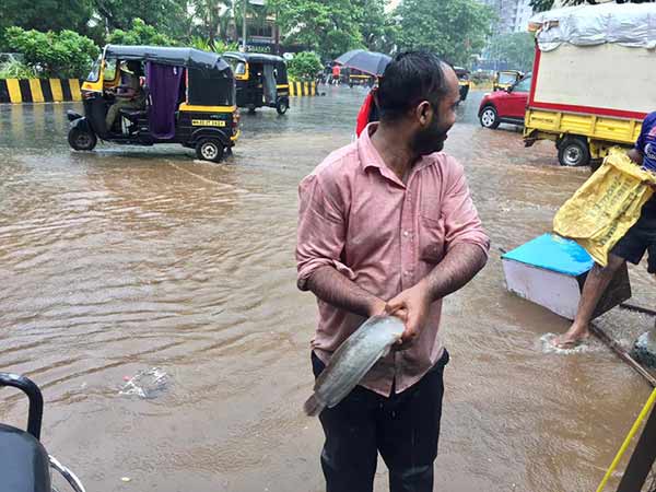 மழை நீரில் நீந்திய மீன்கள்