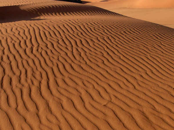 மீள்பவர்கள் உண்டு 