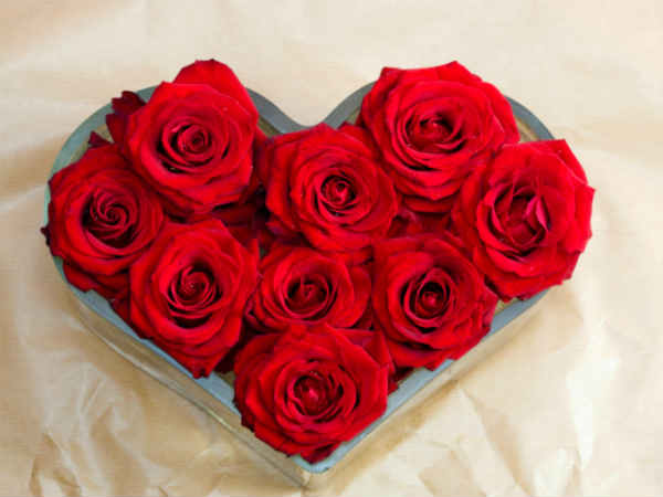 காதலின் சின்னம் காதலின் சின்னம்