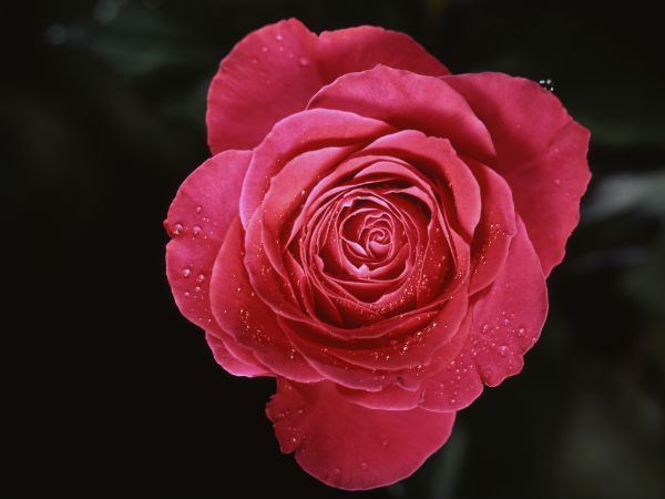 மருத்துவ குணம் மருத்துவ குணம்