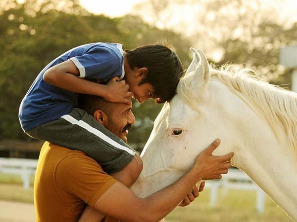 மெழுகுவர்த்தி 