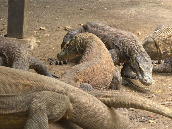 வடமாநிலங்களில் சோதனை 