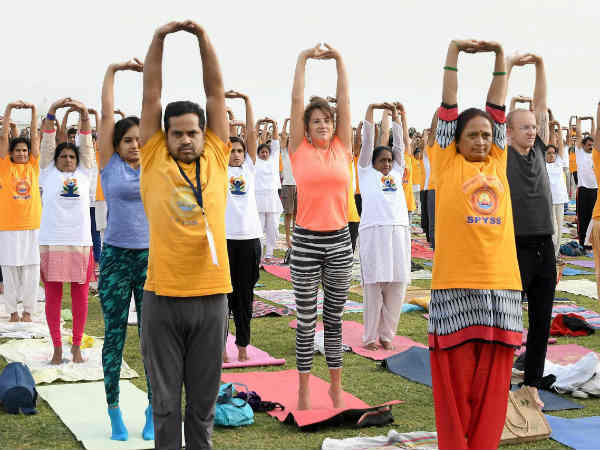 நோய்களுக்கு தீர்வு 