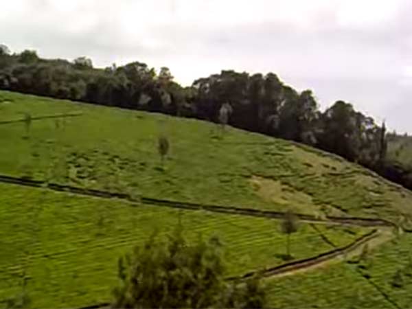 எந்த ஆவியை விரட்ட பூஜை 