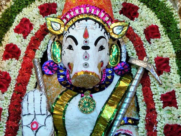 தானியங்கள் செழிக்கும் 