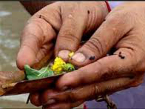 கருப்பு எள் கருப்பு எள்