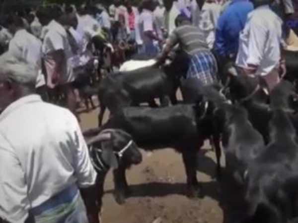 சென்னை உள்ளிட்ட...