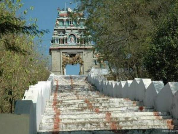 பொதுமக்கள் எதிர்ப்பு