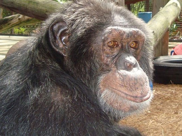 எச்சரிக்கை உணர்வு 