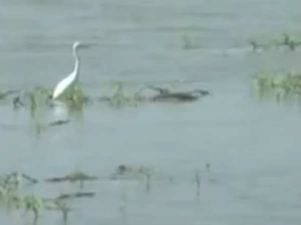 காய்ந்த வீராணம் 