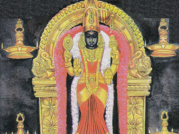 வைதீஸ்வரனும் மருத்துவ கல்வியும்: 