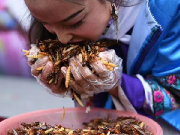 லபக் லபக் என..