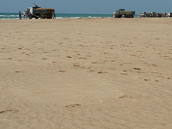 செயற்கை தட்டுப்பாடு நீங்குமா? செயற்கை தட்டுப்பாடு நீங்குமா?