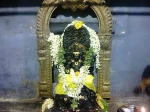 வாழ்க்கை சக்கரம் 