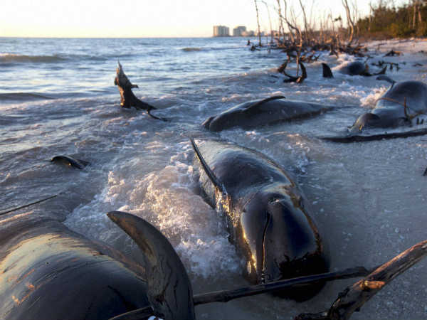 அளவு குறைவு 