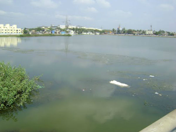 போரூர் ஏரி 