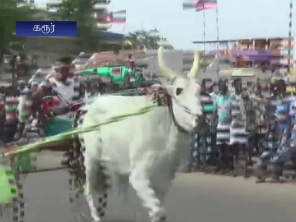 Reckla race conducted in Karur for the celebration of DMK leader Karunanidhi birthday Reckla race conducted in Karur for the celebration of DMK leader Karunanidhi birthday