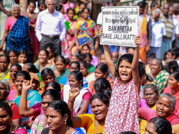 ஜல்லிக்கட்டு..