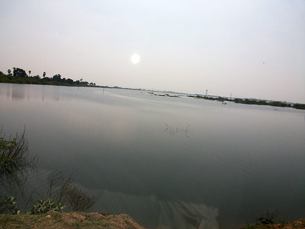 நிலத்தடி நீர் மட்டம்