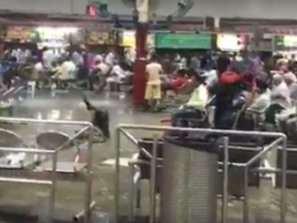  பயணிகள் அவதி 