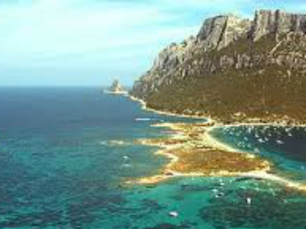 எளிமையான அரசர் எளிமையான அரசர்