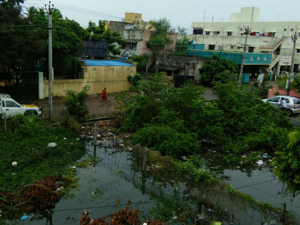 வெயிலின் தாக்கம் குறைந்து ஹேப்பி 