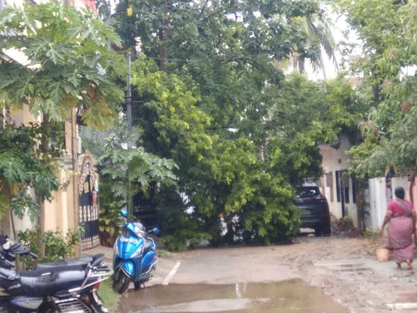 ஆங்காங்கே நீர் தேங்கி 
