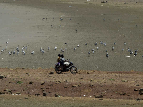  20 கனஅடி நீர் 