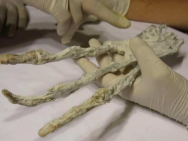 சுண்ணாம்புச் சிலை