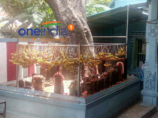 கயிலையே மயிலை கயிலையே மயிலை