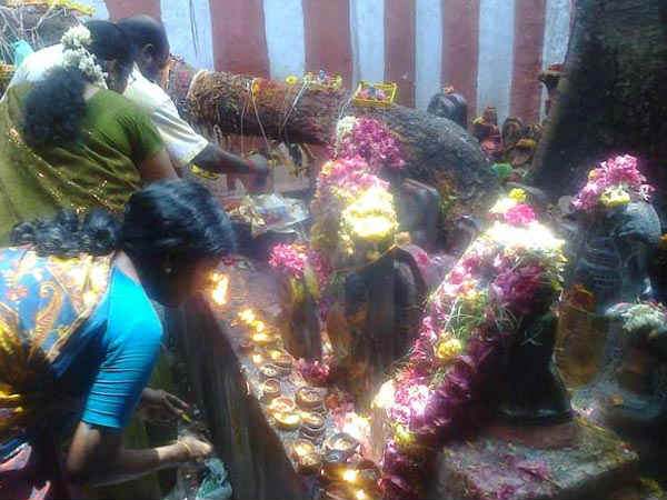 கல்நாகம் கல்நாகம்