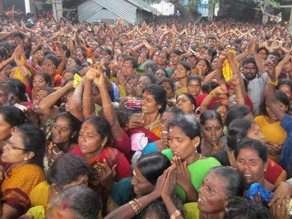 நாக வழிபாடு நாக வழிபாடு