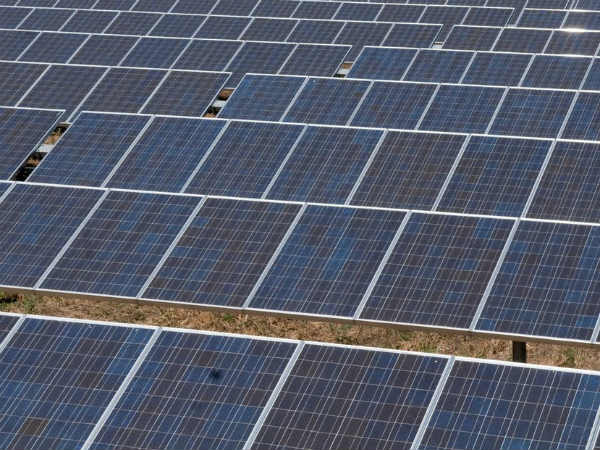 பொறுப்பை தட்டிக் கழிக்கும் தமிழ்நாடு பொறுப்பை தட்டிக் கழிக்கும் தமிழ்நாடு