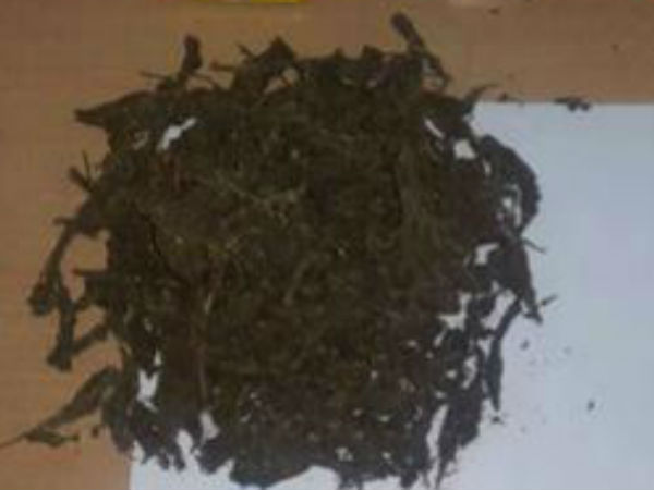 புற்றுநோய்க்கு மருந்தாகும் கஞ்சா 