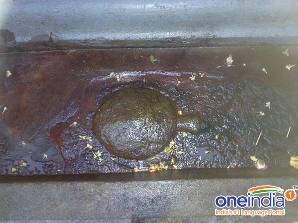 ஆமை சிற்பம் 