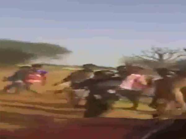 ஆடு மாடு போல் ஆடு மாடு போல்